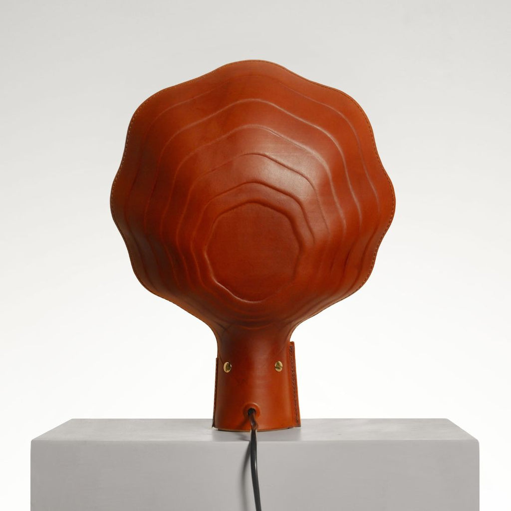 In Need of a Hug Sail Diffuse Lamp — Schwa Studio