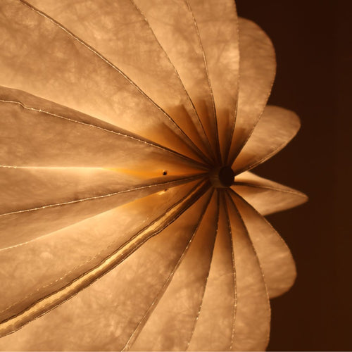 Aster Wall Light — Fold